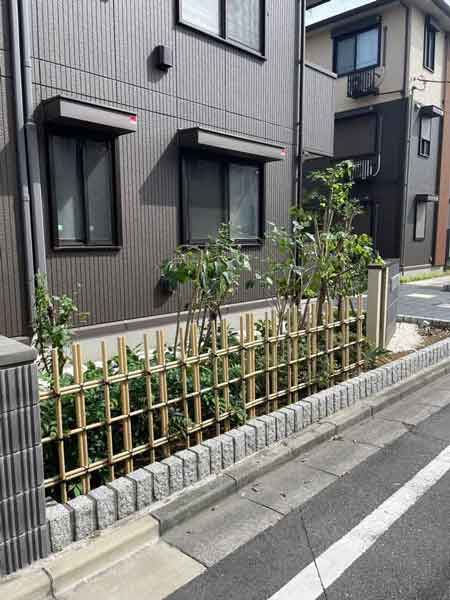 枝を大きく切り戻して高さと幅を抑え、通路がすっきりと見通せるよう整えられた剪定後の庭木｜川口市のアパート外構