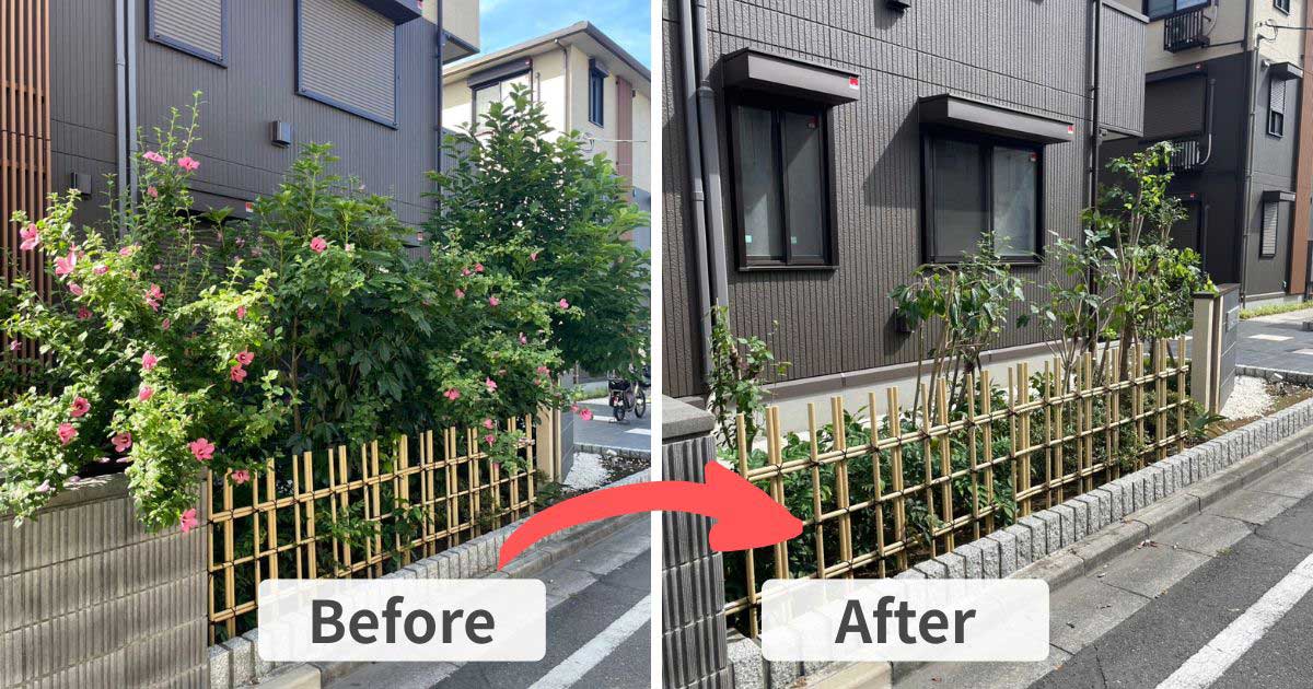 施工事例：川口市で庭木の剪定（ムクゲ・コブシなど）｜川口市・草加市の植木屋【樹の屋】